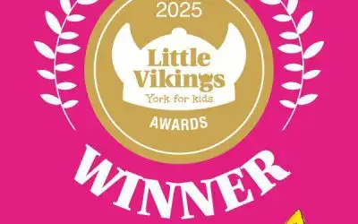 WINNER!! Whoooo we have been awarded BEST PARTY PROVIDER with LIttle Vikings!