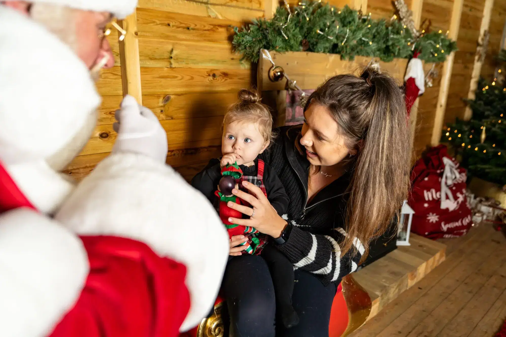 Father Christmas Experience at The Web Adventure Park York 2026