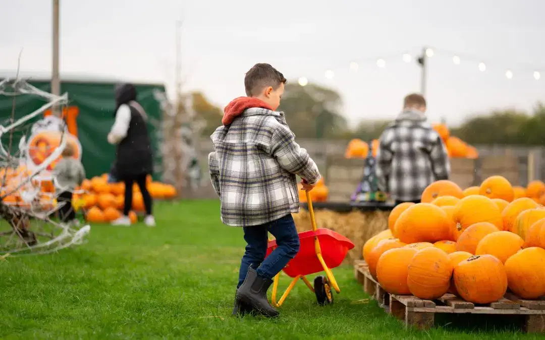 Web’oween 2026, Family Halloween Event & Pumpkin Patch in York