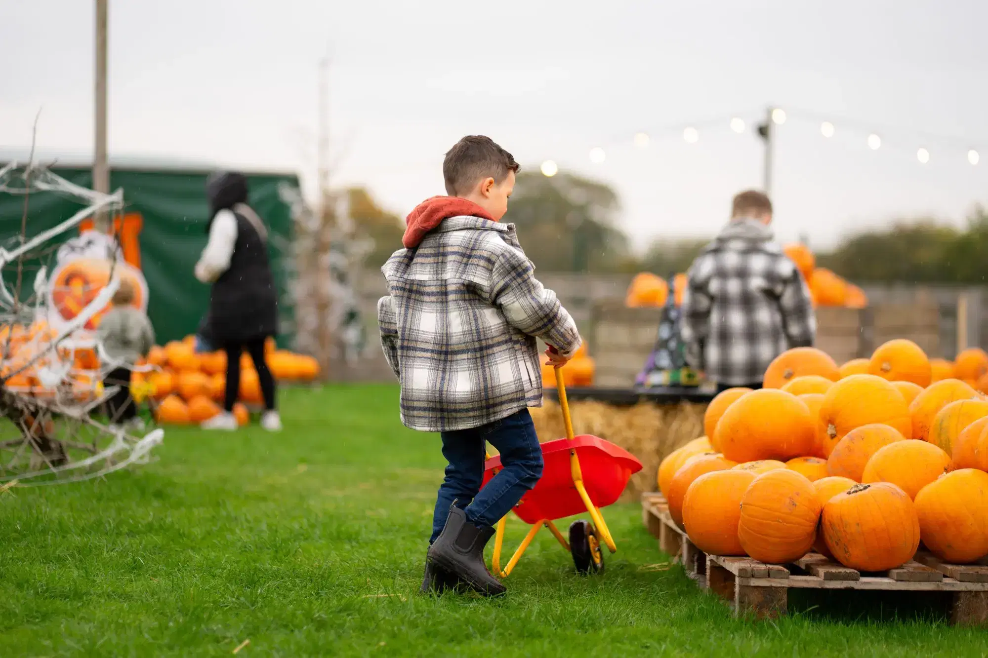 Family enjoying the Web'oween Halloween event