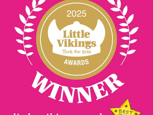 WINNER!! Whoooo we have been awarded BEST PARTY PROVIDER with LIttle Vikings!