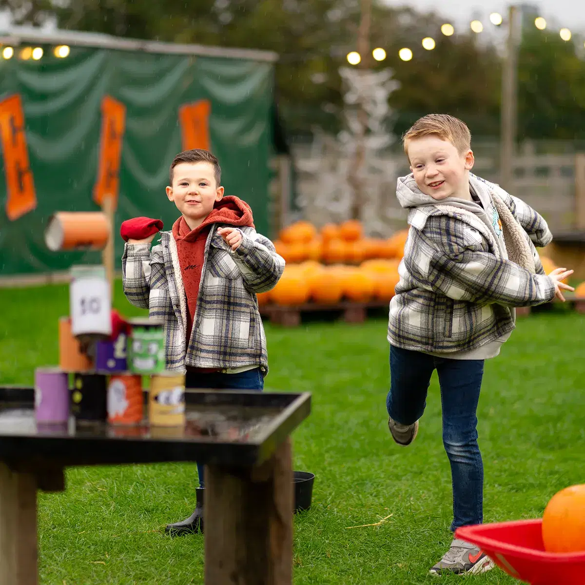 Halloween Family Fun at Web Adventure Park York Family Halloween event at Web Adventure Park with outdoor play, indoor soft play and animal petting in York